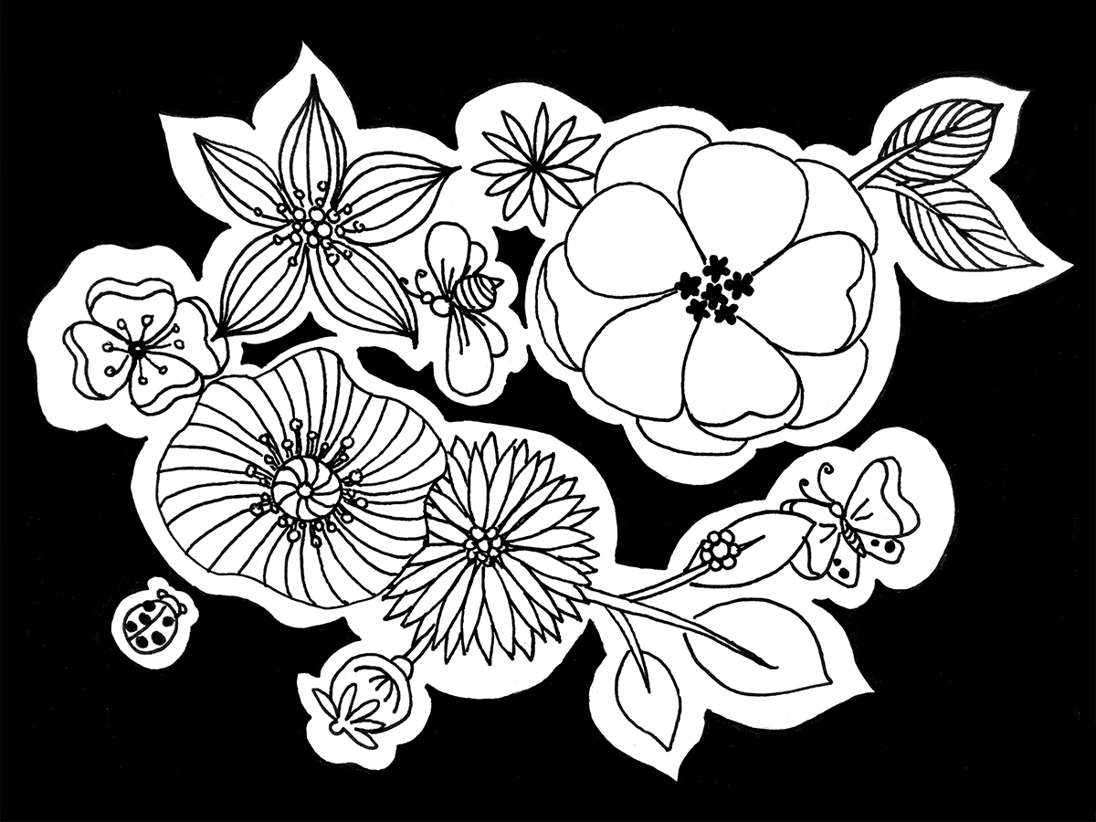 Flowers illustration with half of the area dark