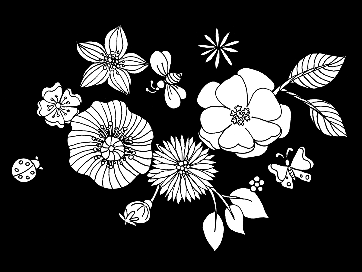 Flowers illustration with two-thirds of the area dark