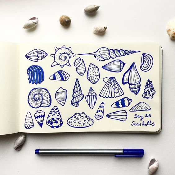 Sea shells doodle by erdenec